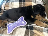 processed/aeb1ab8d-271e-4308-8a43-2704aac7f154/listing/e094be5b-9fcd-47e5-8966-4df5025a458e/d0658333-9f56-413c-86e3-0d9b1728fd2d