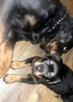 processed/aeb1ab8d-271e-4308-8a43-2704aac7f154/listing/e8513b66-f4c8-4d58-8eda-e83a72813759/0eee8bab-da94-412f-aa71-a7866a96449e