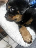 processed/aeb1ab8d-271e-4308-8a43-2704aac7f154/listing/e8513b66-f4c8-4d58-8eda-e83a72813759/568cc01f-af1c-4754-a9d1-197adfb3565e