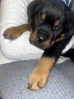 processed/aeb1ab8d-271e-4308-8a43-2704aac7f154/listing/e8513b66-f4c8-4d58-8eda-e83a72813759/8235c5ad-b98d-4bc0-a8ba-a910b3d6a6ff