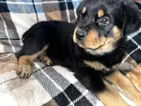 processed/aeb1ab8d-271e-4308-8a43-2704aac7f154/listing/edcc7d95-a68d-4e7f-9aba-077dfe67b9b7/463b2443-0f79-4bdc-9d49-1557f39ced1b