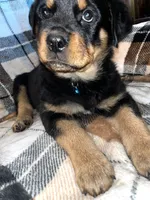 processed/aeb1ab8d-271e-4308-8a43-2704aac7f154/listing/edcc7d95-a68d-4e7f-9aba-077dfe67b9b7/ecffc288-1fd9-43d8-ae10-47a2abba9baf