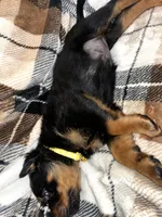 processed/aeb1ab8d-271e-4308-8a43-2704aac7f154/listing/f315bdec-e2de-4ca8-8c36-774604f3281e/1961b7cc-f485-4696-943e-3bc5a15e1812