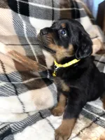 processed/aeb1ab8d-271e-4308-8a43-2704aac7f154/listing/f315bdec-e2de-4ca8-8c36-774604f3281e/259dae93-a84f-4c1b-ba3b-9b9370ef3991