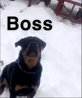 processed/aeb1ab8d-271e-4308-8a43-2704aac7f154/listing/f315bdec-e2de-4ca8-8c36-774604f3281e/2ed3259f-44e9-4199-863f-118801827b1b