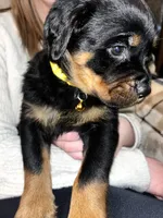 processed/aeb1ab8d-271e-4308-8a43-2704aac7f154/listing/f315bdec-e2de-4ca8-8c36-774604f3281e/c659401c-12db-4a0d-8ddf-b2890db9500b