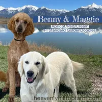 processed/aeb347bb-28bf-45ba-8817-fde2489df310/facility/67d3b838-4213-4372-8f28-3383dc2b8aba