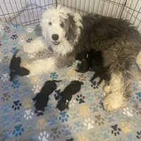 processed/aeb347bb-28bf-45ba-8817-fde2489df310/facility/732e2b94-c702-4ee7-bd57-4d0e1577cbbb