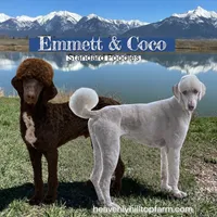 processed/aeb347bb-28bf-45ba-8817-fde2489df310/facility/9130753b-f9ed-4922-b11a-9f0d21c50971