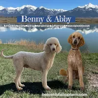 processed/aeb347bb-28bf-45ba-8817-fde2489df310/facility/b76feee6-3f4a-4277-84df-b1584378b487