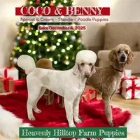 processed/aeb347bb-28bf-45ba-8817-fde2489df310/facility/d5f13de9-5822-4431-8280-6c43d9b67e2c