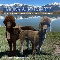 processed/aeb347bb-28bf-45ba-8817-fde2489df310/facility/d7f26a08-fea2-4f85-a832-5b41c9edd1f7