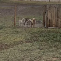 processed/aeb347bb-28bf-45ba-8817-fde2489df310/facility/e8b84901-88a9-47bd-9ff4-57f0a24d28c4