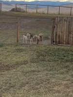 processed/aeb347bb-28bf-45ba-8817-fde2489df310/facility/e8b84901-88a9-47bd-9ff4-57f0a24d28c4