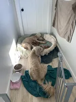 processed/aeb347bb-28bf-45ba-8817-fde2489df310/facility/ec9264e4-a7d0-4b10-94be-940d4b4f4734