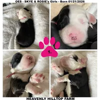 processed/aeb347bb-28bf-45ba-8817-fde2489df310/listing/03b0d565-b1f3-4ce5-a59f-445eab96d74b/8d17344d-8efa-4c53-932f-8bbca1854001