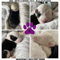 processed/aeb347bb-28bf-45ba-8817-fde2489df310/listing/2f74946c-7b8f-487b-af15-4835815c832c/9b6b3c03-bf4e-4f83-89b8-c018f0a1e16a