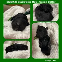 processed/aeb347bb-28bf-45ba-8817-fde2489df310/listing/368e4316-9a88-49b4-9e3e-e797ce080cb0/9aeb5937-f2d4-46c9-946f-6fffb9a23ec4