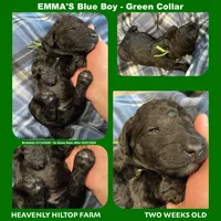 processed/aeb347bb-28bf-45ba-8817-fde2489df310/listing/368e4316-9a88-49b4-9e3e-e797ce080cb0/adddc61b-d86a-4925-8a97-9a9e1a4b5a7b