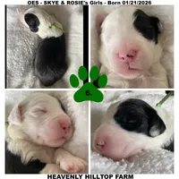 processed/aeb347bb-28bf-45ba-8817-fde2489df310/listing/3abda678-9c58-4e9e-a4b8-e9364c393ee3/41fa4875-cdc8-43ae-b3bd-cfb4fa7e5adc