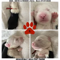 processed/aeb347bb-28bf-45ba-8817-fde2489df310/listing/4df64efd-858c-4f7d-90e4-4f4d8398adab/f988489f-80fe-4e7a-a6c9-650c69e850a5