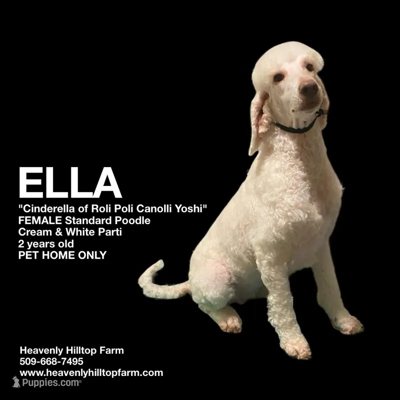 ELLA - 
