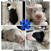 processed/aeb347bb-28bf-45ba-8817-fde2489df310/listing/68d4ddb1-08cd-4bcc-b773-8c54a0c3f6b6/08f20540-1dc5-4402-ba43-7a1dc127aeeb