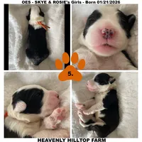 processed/aeb347bb-28bf-45ba-8817-fde2489df310/listing/6a6dba74-739b-4050-b613-e4f31a584c16/d545bfa6-9d0a-4c51-911d-0943a16c87c4