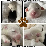 processed/aeb347bb-28bf-45ba-8817-fde2489df310/listing/7667104a-9c25-4f31-91bc-cee795c322ee/b7eef169-8fb1-4de1-b39e-f927fbb65d6a