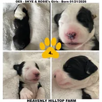 processed/aeb347bb-28bf-45ba-8817-fde2489df310/listing/85713d26-4d4b-4c80-8f6c-19b57088223d/2ea0d106-b9be-4813-ad6b-a9ff9d0a9e51