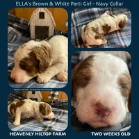 processed/aeb347bb-28bf-45ba-8817-fde2489df310/listing/a78b297b-6088-4210-a170-5f6c9b5e1113/f4d1e589-8389-4207-b034-96b893278e00