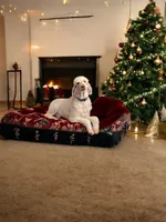 processed/aeb347bb-28bf-45ba-8817-fde2489df310/listing/cd6c3d22-d99e-42b3-aee8-1ebb10e8049e/2626b9e7-7e31-4634-8e57-01951463cff1