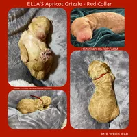 processed/aeb347bb-28bf-45ba-8817-fde2489df310/listing/cd6c3d22-d99e-42b3-aee8-1ebb10e8049e/b0ba9145-17fa-4829-8ded-4660edd1e97d