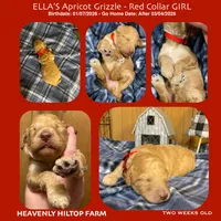 processed/aeb347bb-28bf-45ba-8817-fde2489df310/listing/cd6c3d22-d99e-42b3-aee8-1ebb10e8049e/b2c6908e-41b6-43d8-ad8c-e032e12fed90