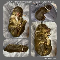 processed/aeb347bb-28bf-45ba-8817-fde2489df310/listing/d28479f3-abad-4f92-a931-1551bc244027/d56c82fa-9bf5-4903-953f-ac1128dba411