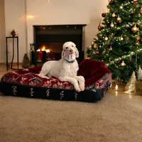 LOMI , a female Poodle - Standard  for sale in Charlo, MT – Photo 7 of 7