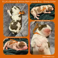 processed/aeb347bb-28bf-45ba-8817-fde2489df310/listing/f9ae734a-839d-4219-8ab9-3682a60ff722/c2b378b3-77c8-4fce-991e-7ed436306ccb