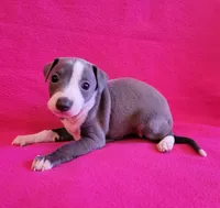 processed/aeb4f8fc-b2f6-4f52-8960-0503fd1b0514/listing/74836275-67ae-4089-952e-3104d772f022/20abaf22-3836-4426-b96d-4036c0c88dbf