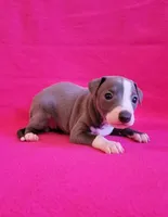 processed/aeb4f8fc-b2f6-4f52-8960-0503fd1b0514/listing/74836275-67ae-4089-952e-3104d772f022/bec7d6b5-a693-46ca-a03f-c1b507dd6dcc