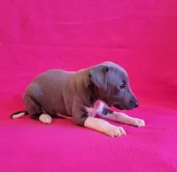 processed/aeb4f8fc-b2f6-4f52-8960-0503fd1b0514/listing/914ea200-23a4-4662-9c09-ec272ee4e743/0ffd393d-10ec-4eb9-82b8-5c2414d5b357