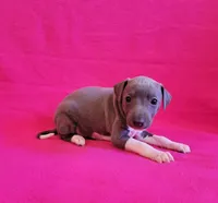 processed/aeb4f8fc-b2f6-4f52-8960-0503fd1b0514/listing/914ea200-23a4-4662-9c09-ec272ee4e743/1219b9d9-1ddd-47f3-ace6-f8e9e82e3c72