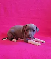 processed/aeb4f8fc-b2f6-4f52-8960-0503fd1b0514/listing/914ea200-23a4-4662-9c09-ec272ee4e743/2fa6c1e3-e4d4-403e-b6fe-0e74b25afd23