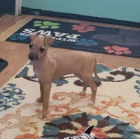 processed/aeb4f8fc-b2f6-4f52-8960-0503fd1b0514/listing/b31dae11-b48e-47a1-9036-2bf3a58e311e/a347c6ac-b7f3-4eac-b7b0-9e411aff3def