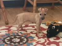 processed/aeb4f8fc-b2f6-4f52-8960-0503fd1b0514/listing/b31dae11-b48e-47a1-9036-2bf3a58e311e/f8b34024-35ba-48a5-9329-118a2d12b8ee