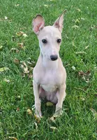 processed/aeb4f8fc-b2f6-4f52-8960-0503fd1b0514/listing/d0780fd0-6fac-4515-9a8b-0694c562e632/9b74ae43-3736-4252-8db2-128838462837