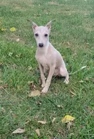 processed/aeb4f8fc-b2f6-4f52-8960-0503fd1b0514/listing/d0780fd0-6fac-4515-9a8b-0694c562e632/ad515461-eaac-445e-83b3-7f634e7c21db