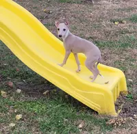 processed/aeb4f8fc-b2f6-4f52-8960-0503fd1b0514/listing/d0780fd0-6fac-4515-9a8b-0694c562e632/b055d014-e6e6-43d5-8ee0-6193d7b7307c