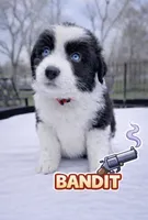 processed/aebb91bd-5a06-434a-8c4e-43691f439364/facility/415d16f2-a5af-4aa1-8ea0-5de4296a78d7