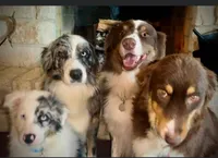 processed/aebb91bd-5a06-434a-8c4e-43691f439364/facility/7a7d4769-8d8b-4afb-95ee-e54cd408a4e5