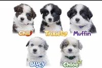 processed/aebb91bd-5a06-434a-8c4e-43691f439364/facility/8be2d303-9bf8-4d68-9dc5-60d13aafe27b